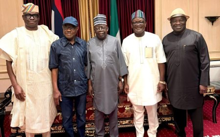 Wike, Fayose, Ortom, Ikpeazu Hold Closed-Door Meeting with President Tinubu in Abuja