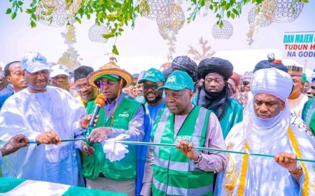 Gombe Secures N60bn from FG for Agro-Livestock