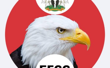 EFCC Presents First Witness in N3.4bn, $2.5m Cybercrime Trial Involving Two Chinese, One Nigerian