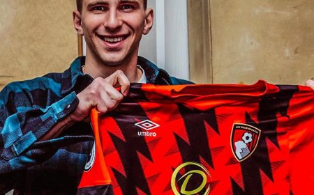 PSG Pushes Forward in Talks to Sign Ilya Zabarny from Bournemouth