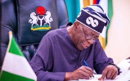 Tinubu’s Tax Reforms Once Seemed Impossible — Hon. James Falek