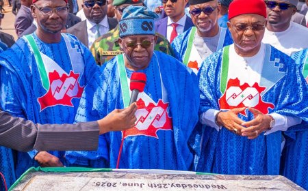 Nasarawa: Nigeria’s Emerging Industrial Powerhouse, Comparable to China’s Growth Model – Mohammed Adamu
