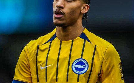 Chelsea Seal Deal to Sign João Pedro in Transfer Worth Over £50 Million