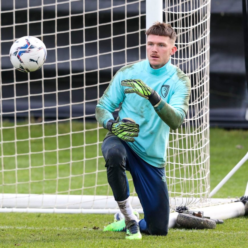 Liverpool Sign Goalkeeper Freddie Woodman on Free Transfer