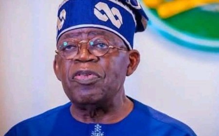 Tinubu Approves Decentralized PPP Framework to Fast-Track Infrastructure Projects