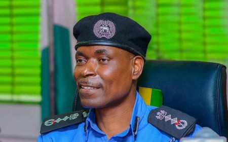 Ex-IGP Abubakar Adamu: Economic Growth is Key to Reducing Crime in Nigeria