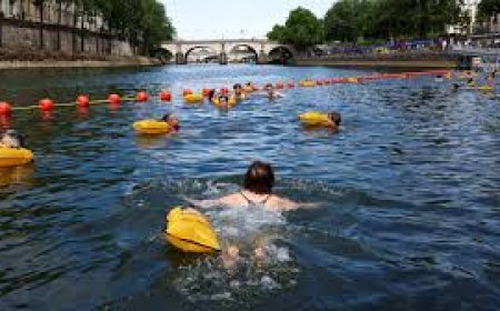 River Seine Reopens for Swimming After Over 100 Years, Thanks to $1.5 Billion Cleanup