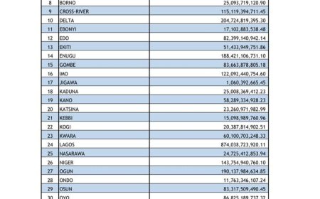 Nigeria’s State and Federal Domestic Debts Surge: Bendel Insurance Tops ₦3.8 Trillion as of March 2025