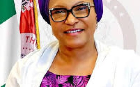 Senator Ireti Kingibe: “FCT Residents United by Their Resentment of Minister Wike