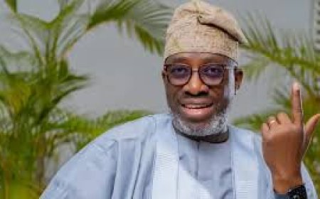 Coalition Will Collapse Over Power Struggle — Segun Sowunmi Warns