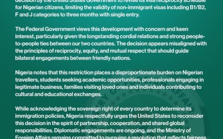 Nigeria Urges U.S. to Reconsider New Three Month Single Entry Visa Rule