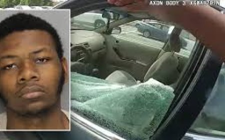 Georgia Police Rescue Toddlers Trapped in 117 Degree Car