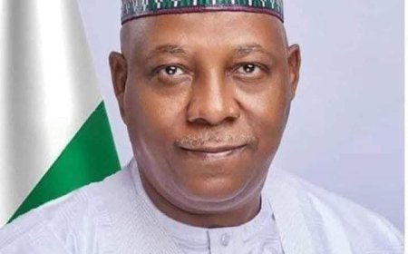 Jonathan Tried to Remove Me as Borno Governor During Emergency Rule  – VP Shettima