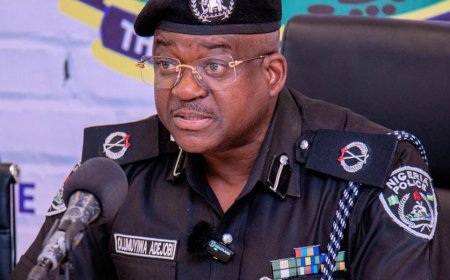Nigerian Police Arrest, Deport Chinese Fugitive Wanted for Multi Million Yuan Tax Fraud