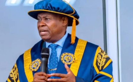 Deji Adeleke’s 1250MW Power Plant Nears Completion, Among Nigeria’s Biggest Energy Projects
