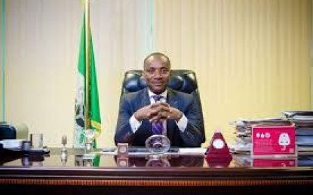 Former NERC Chairman Amadi Says States Can Collaborate with Investors to Boost Power Generation