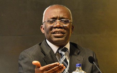 Femi Falana Criticizes Lagos Street Renaming, Calls Move Undemocratic