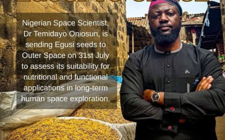 Nigerian Egusi Seeds Sent to Space in Groundbreaking NASA Mission