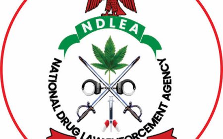 FG to Enforce Mandatory Drug Tests in Universities, Add Drug Education to School Curriculum