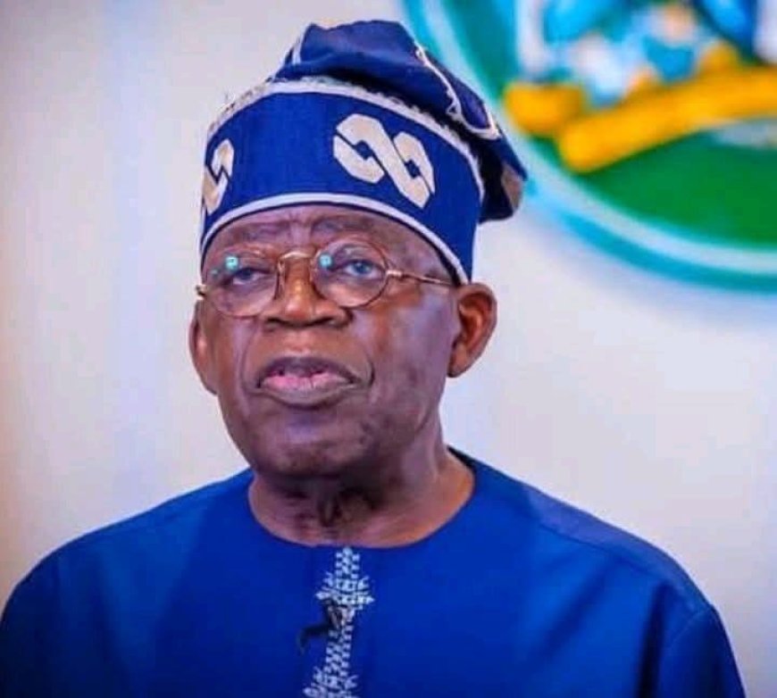 Tinubu Approves Decentralized PPP Framework to Fast-Track Infrastructure Projects