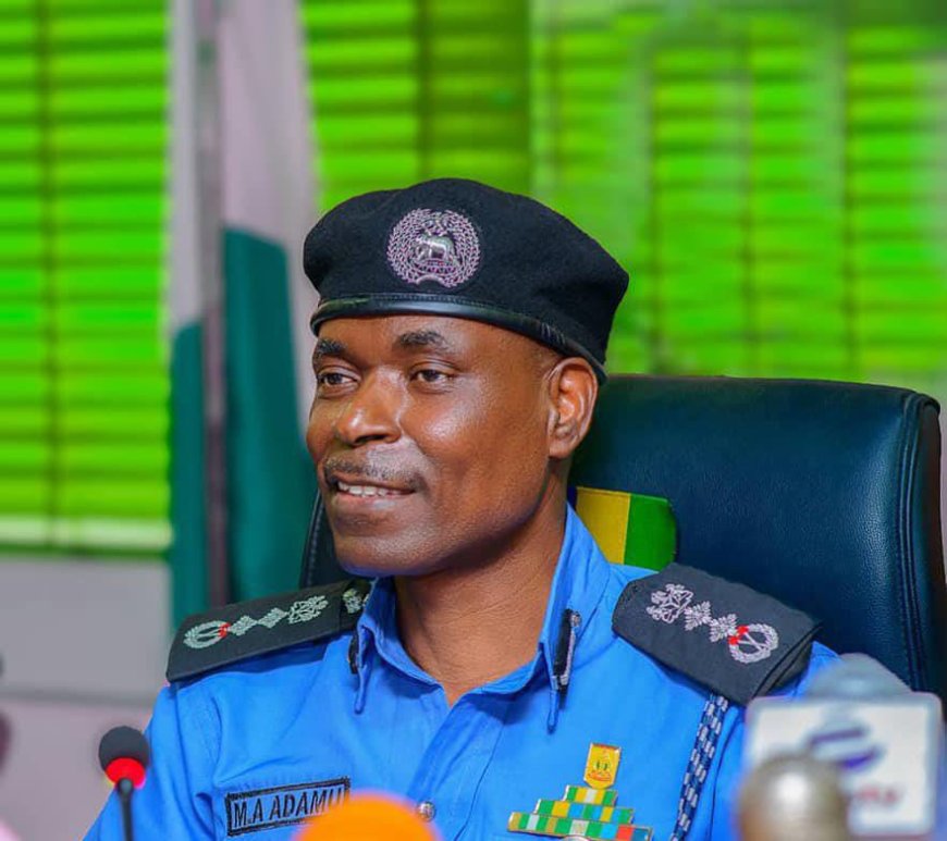 Ex-IGP Abubakar Adamu: Economic Growth is Key to Reducing Crime in Nigeria