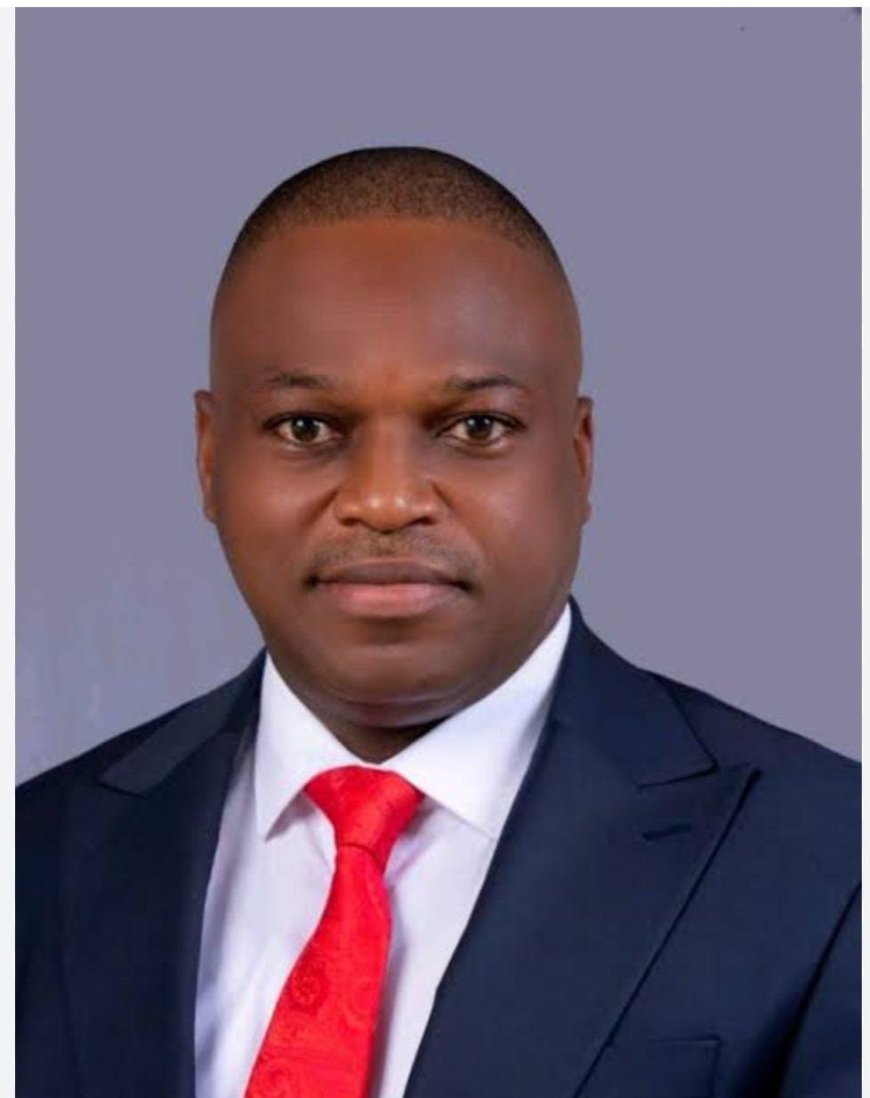 Isi-Uzo LG Chairman Orders Arrest of Security Chief Who Detained Alleged Serial Thief
