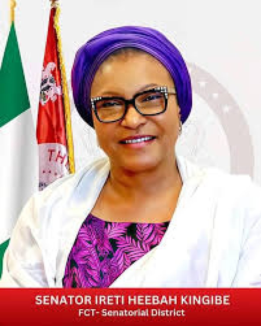 Senator Ireti Kingibe: “FCT Residents United by Their Resentment of Minister Wike