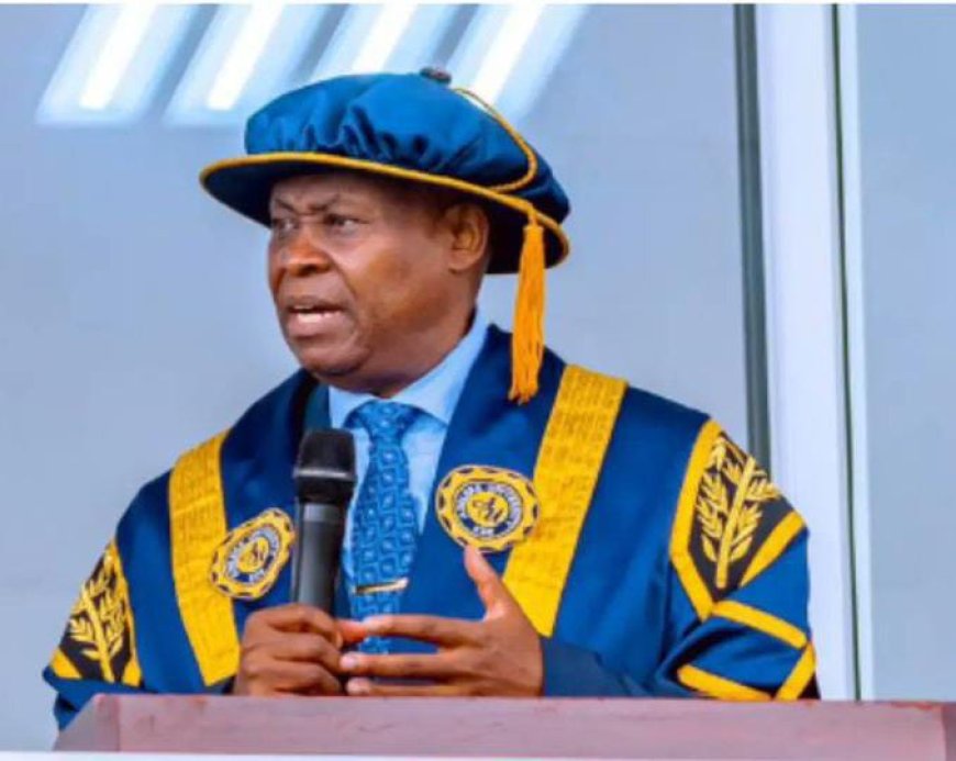 Deji Adeleke’s 1250MW Power Plant Nears Completion, Among Nigeria’s Biggest Energy Projects