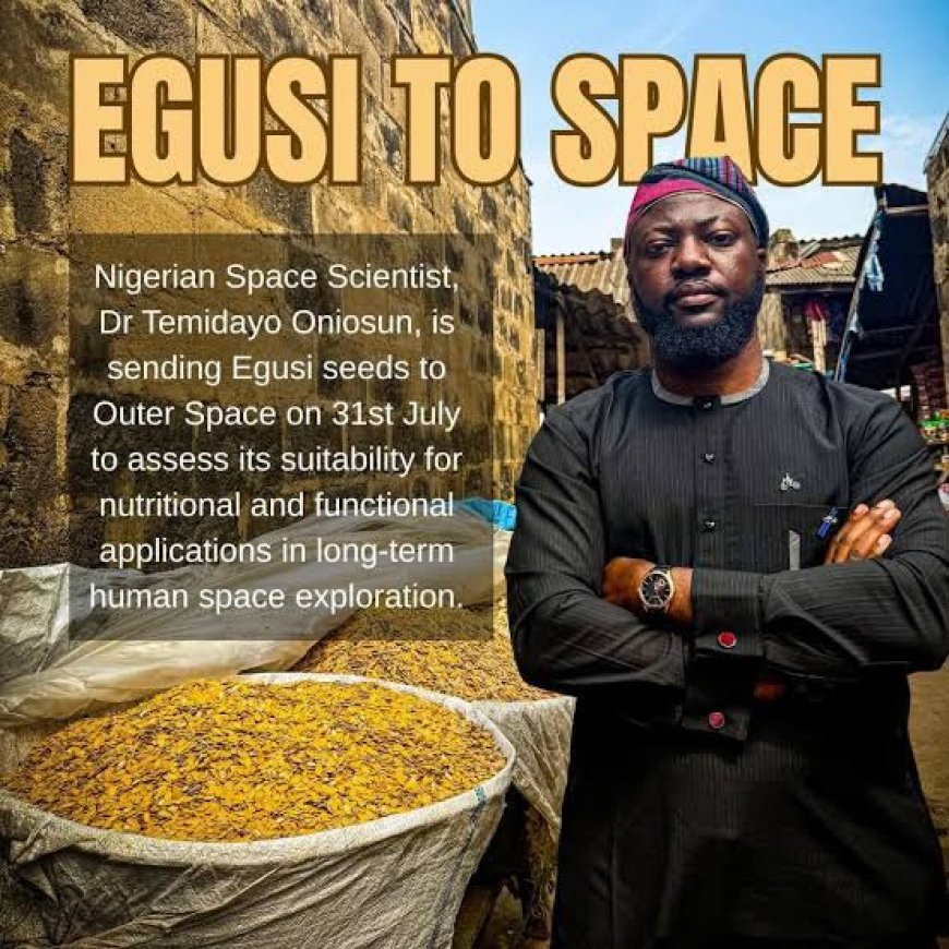 Nigerian Egusi Seeds Sent to Space in Groundbreaking NASA Mission
