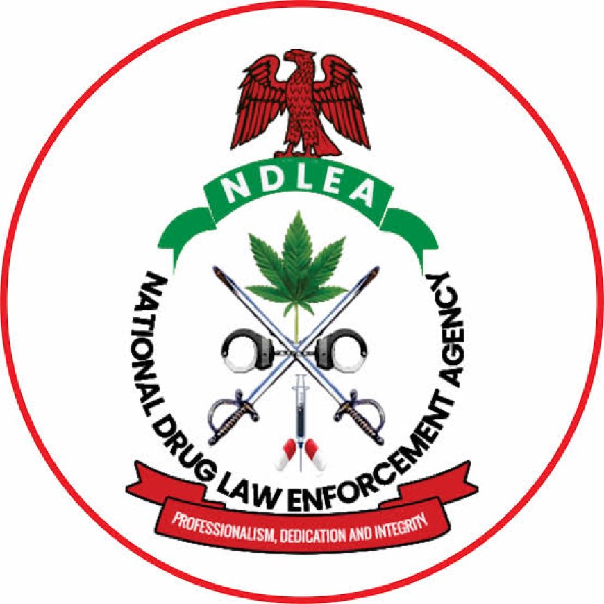FG to Enforce Mandatory Drug Tests in Universities, Add Drug Education to School Curriculum