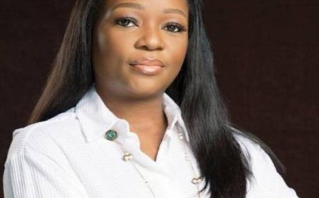 President Tinubu Appoints Omotenioye Majekodunmi as New DG of Climate Change Council