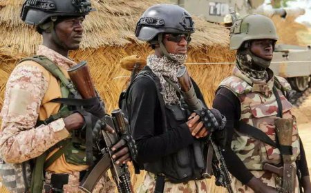 Nigerian Forces Neutralize Terror Leaders, Rescue 134 Hostages in July