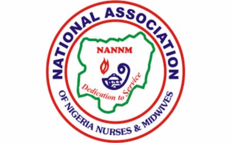 Nigerian Nurses and Midwives Call Off Warning Strike