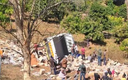 Looters Shocked as Crashed Truck in Limpopo Turns Out to Be Carrying Books