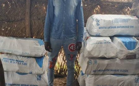 Nigerian Forces Capture Suspected Boko Haram Logistics Operator in Borno