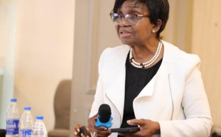 NAFDAC Boss: GMOs Safe When Proper Safety Measures Are Observed