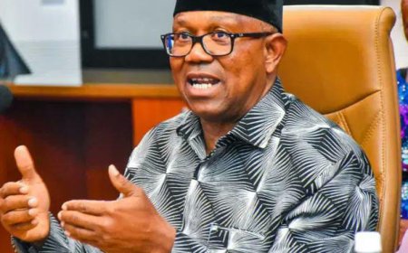 Peter Obi Proposes Single 5 Year Presidential Term for Nigeria