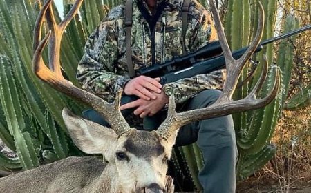 Texas Hunter Killed by Charging Cape Buffalo in South Africa