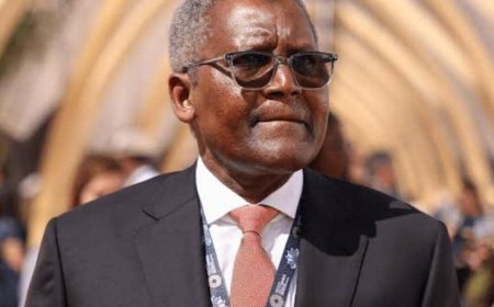Aliko Dangote Arrives in Miami for Davido and Chioma’s White Wedding