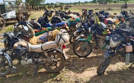 Burkina Faso Forces Crush Terrorist Hideout in Major Eastern Operation