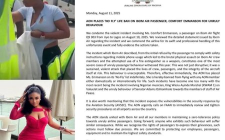Airline Operators Issue Lifetime Flight Ban on Passenger Over Alleged Assault on Ibom Air Staff