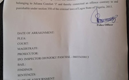Aviation Minister Releases Details of Assault Case Involving Passenger on Ibom Air Flight
