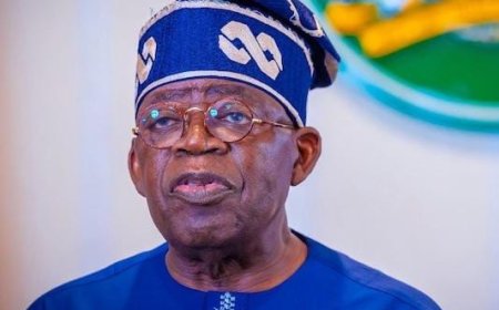 Tinubu Appoints Ex-Lawmaker Ayo Omidiran as Federal Character Commission Chair