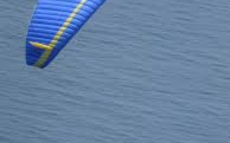 Paraglider Crashes into Power Line Before Plunging into River