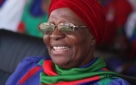 Namibian President Rejects Gates Foundation Birth Control Trial Proposal