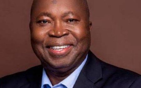 Idle Ajaokuta Steel Plant Drains Over ₦1 Billion Yearly