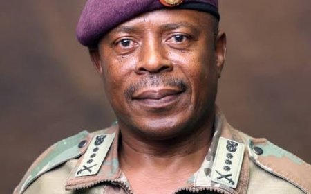 South Africa’s Army Chief Under Fire Over Controversial Pledge of Support to Iran