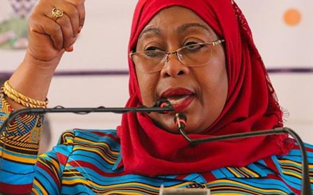 Tanzania Pushes Forward with $30 Billion LNG Project to Harness 49.5 Trillion Cubic Feet of Gas