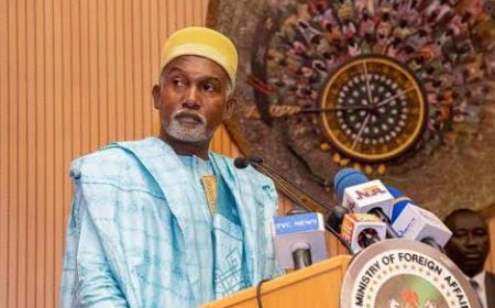 Nigeria to Retaliate Over U.S. Social Media Disclosure Rule for Visa Applicants