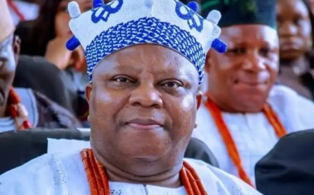 Nigerian Monarch Admits $4.2m Fraud in US, Cites COVID-19 Hardship